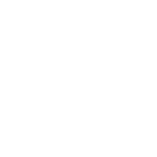 Rebel